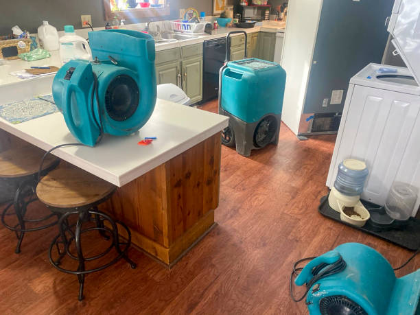 Best Carpet water damage restoration  in Larkspur, CA