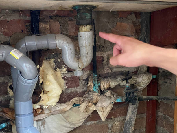 Best Water damage cleanup near me  in Larkspur, CA